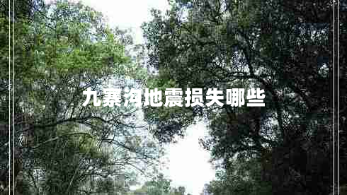 九寨溝地震損失哪些