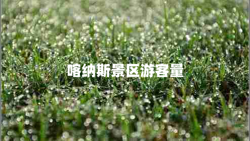 喀納斯景區(qū)游客量 喀納斯景區(qū)游客量