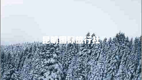 昆明國際旅行社