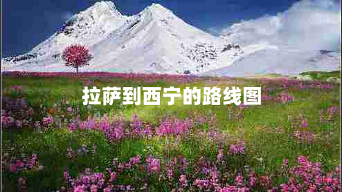 拉薩到西寧的路線圖