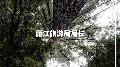 麗江旅游局局長