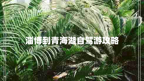 淄博到青海湖自駕游攻略 淄博到青海湖自駕游攻略