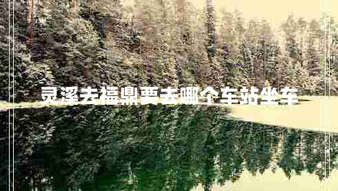 靈溪去福鼎要去哪個車站坐車