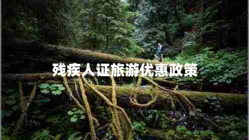 殘疾人證旅游優(yōu)惠政策