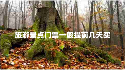旅游景點(diǎn)門票一般提前幾天買