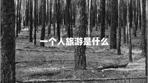 一個人旅游是什么