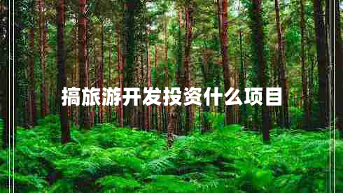 搞旅游開發(fā)投資什么項目