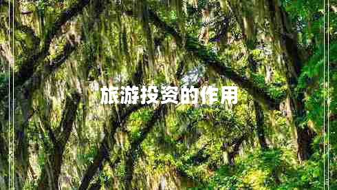 旅游投資的作用 旅游投資的作用