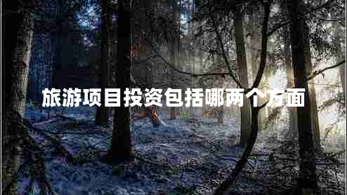 旅游項(xiàng)目投資包括哪兩個(gè)方面