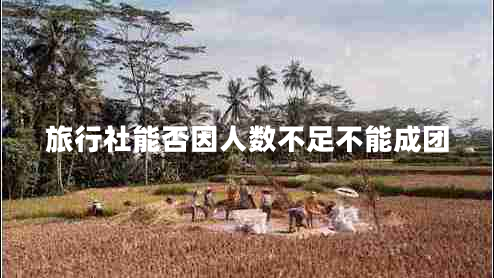 旅行社能否因人數(shù)不足不能成團(tuán) 旅行社能否因人數(shù)不足不能成團(tuán)