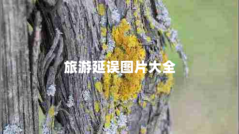 旅游延誤圖片大全 旅游延誤圖片大全