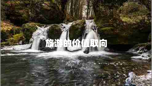 旅游的價值取向