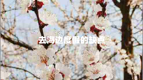 去海邊度假的缺點(diǎn)