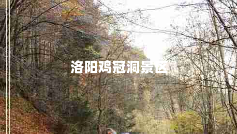 洛陽(yáng)雞冠洞景區(qū) 洛陽(yáng)雞冠洞景區(qū)