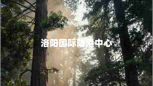 洛陽(yáng)國(guó)際陸港中心