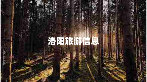 洛陽(yáng)旅游信息