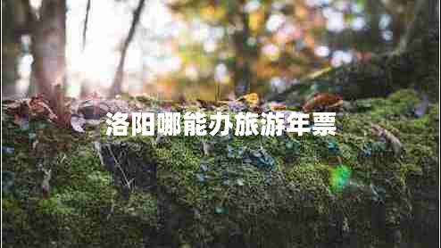 洛陽哪能辦旅游年票