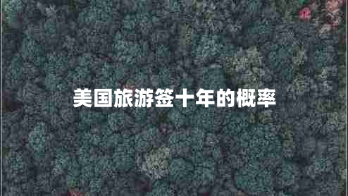 美國旅游簽十年的概率 美國旅游簽十年的概率