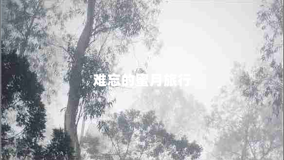 難忘的蜜月旅行