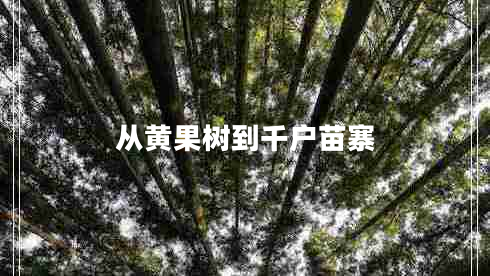 從黃果樹到千戶苗寨 從黃果樹到千戶苗寨