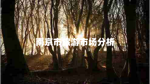 南京市旅游市場分析 南京市旅游市場分析
