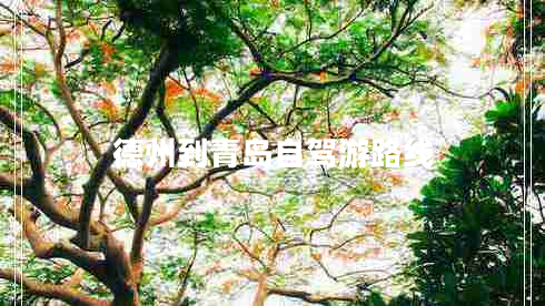 德州到青島自駕游路線