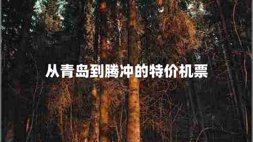 從青島到騰沖的特價機票