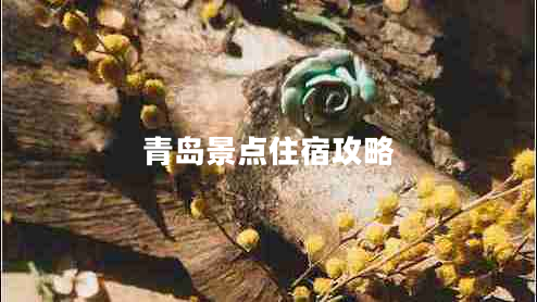 青島景點(diǎn)住宿攻略