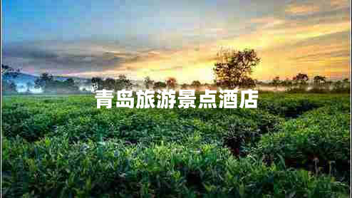青島旅游景點(diǎn)酒店
