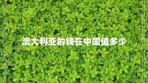 澳大利亞的錢在中國值多少