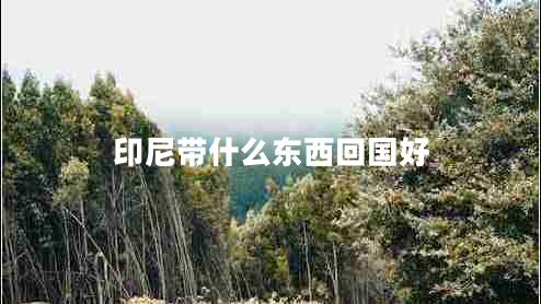 印尼帶什么東西回國好