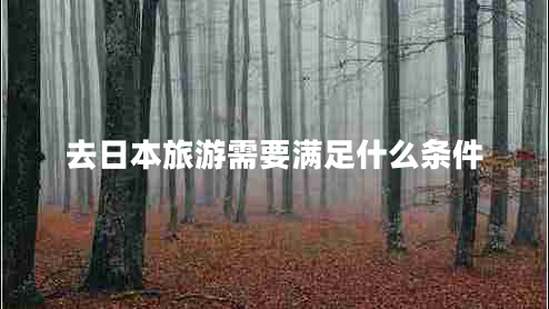去日本旅游需要滿足什么條件