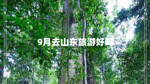 9月去山東旅游好嗎 9月去山東旅游好嗎