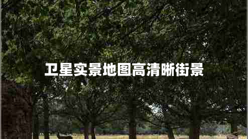 衛(wèi)星實(shí)景地圖高清晰街景