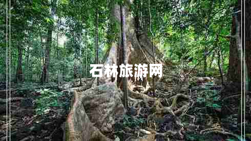 石林旅游網(wǎng)