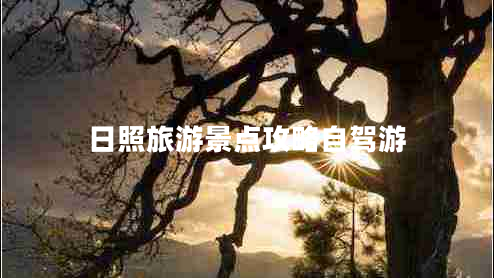 日照旅游景點攻略自駕游