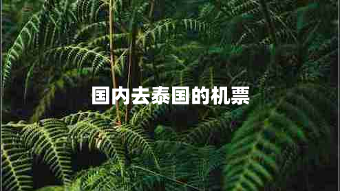 國內(nèi)去泰國的機(jī)票