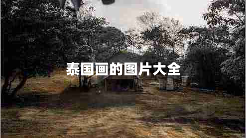 泰國畫的圖片大全