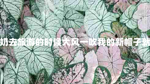 我和奶奶去旅游的時候大風(fēng)一吹我的新帽子就吹跑啦