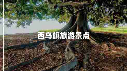 西烏旗旅游景點 西烏旗旅游景點