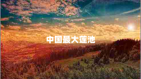 中國(guó)最大蓮池