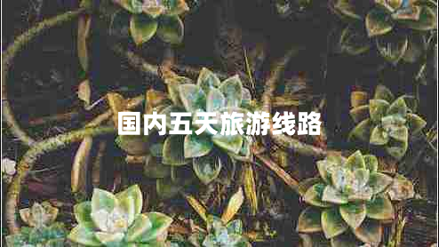 國內(nèi)五天旅游線路