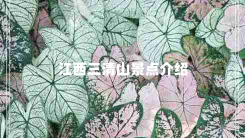 江西三清山景點(diǎn)介紹 江西三清山景點(diǎn)介紹