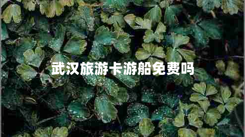 武漢旅游卡游船免費(fèi)嗎 武漢旅游卡游船免費(fèi)嗎