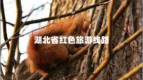 湖北省紅色旅游線路 湖北省紅色旅游線路