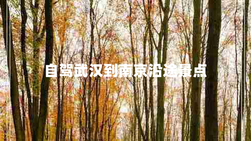 自駕武漢到南京沿途景點(diǎn) 自駕武漢到南京沿途景點(diǎn)
