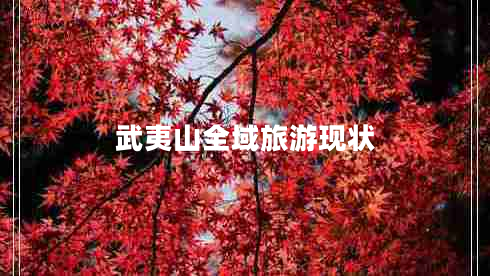 武夷山全域旅游現(xiàn)狀 武夷山全域旅游現(xiàn)狀