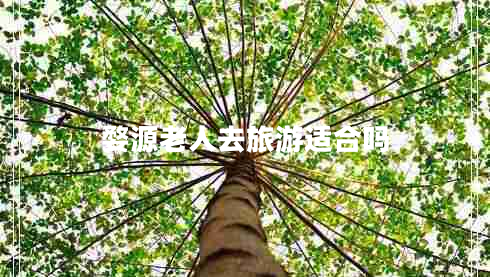 婺源老人去旅游適合嗎