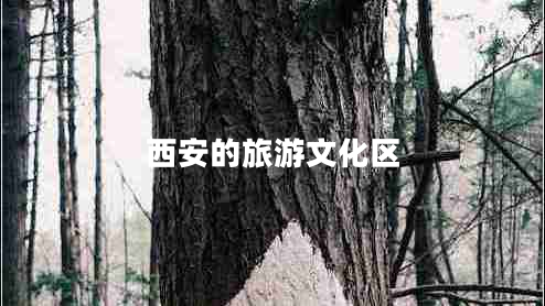 西安的旅游文化區(qū)