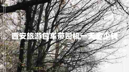 西安旅游包車帶司機(jī)一天多少錢 西安旅游包車帶司機(jī)一天多少錢